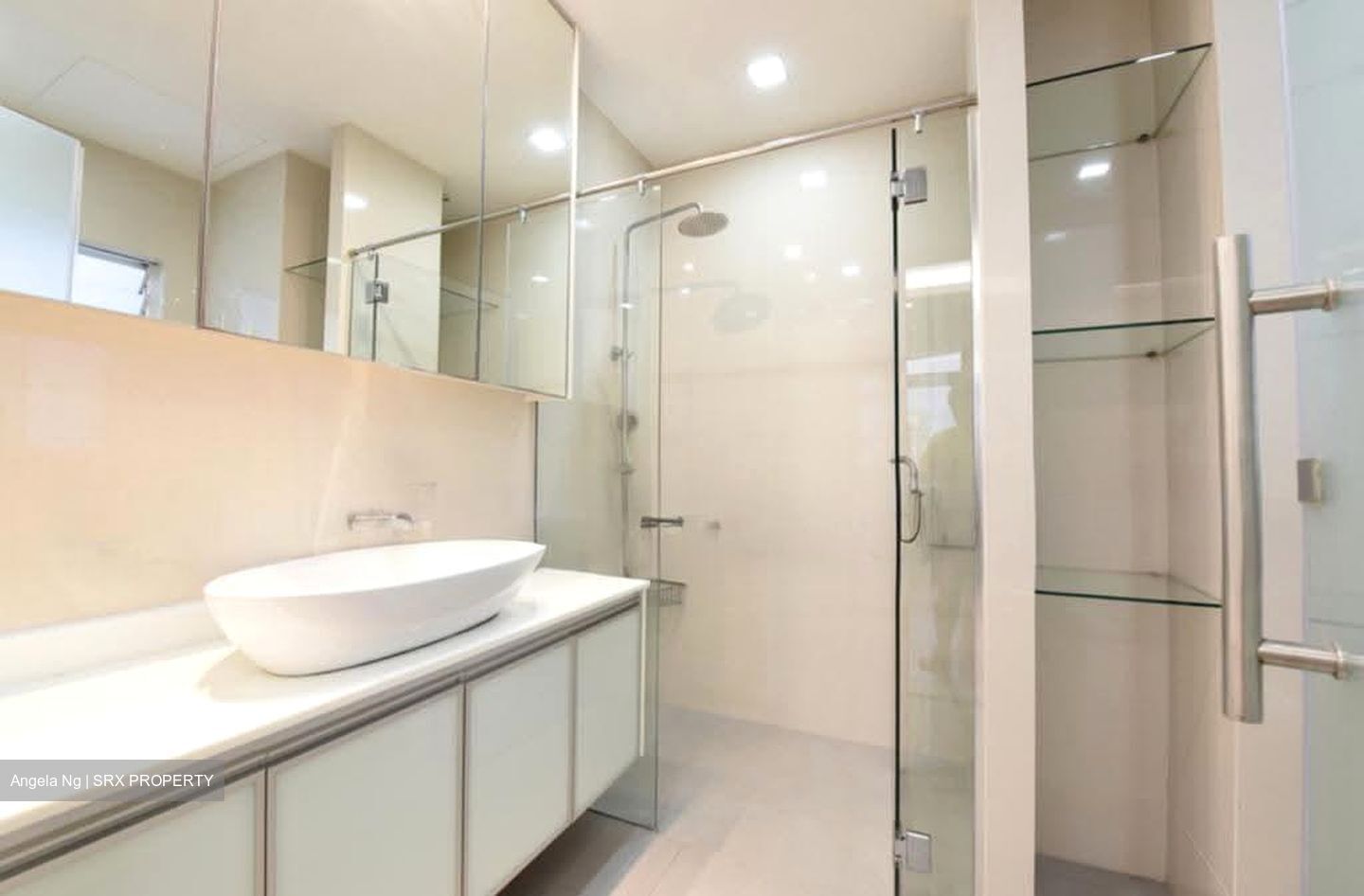 Regency Park (D10), Condominium #621680841